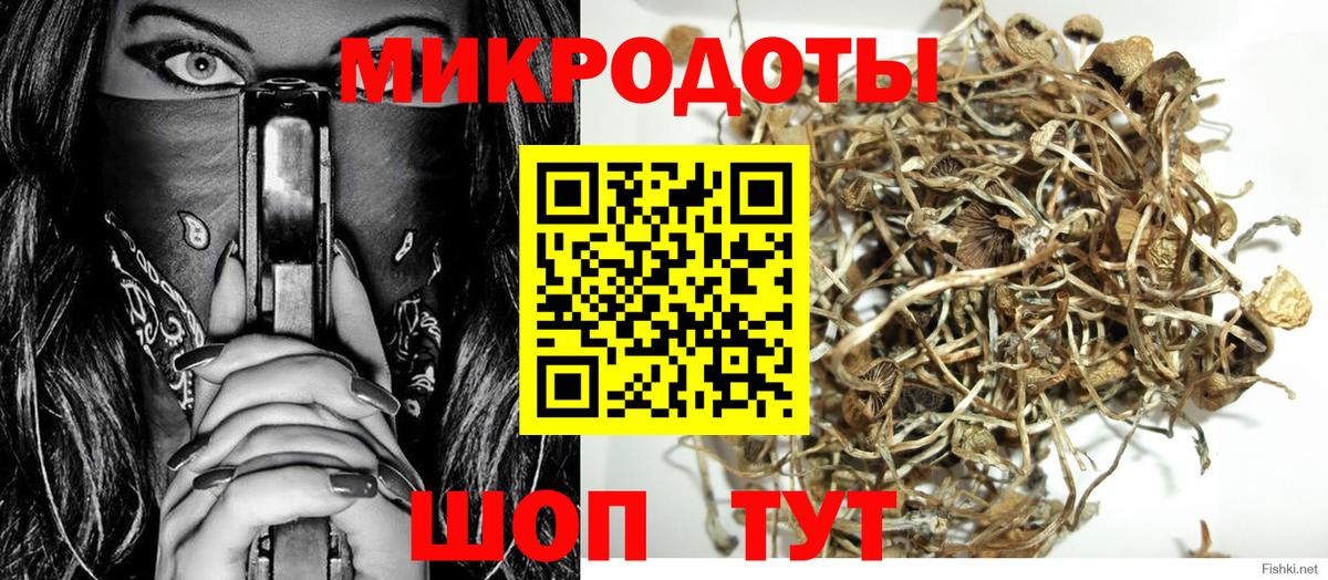 наркотики  Псилоцибиновые грибы Magic Shrooms  Вход с VPN  Аксай 